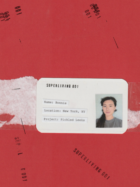 Red and blue printed materials for the Superliving Residency